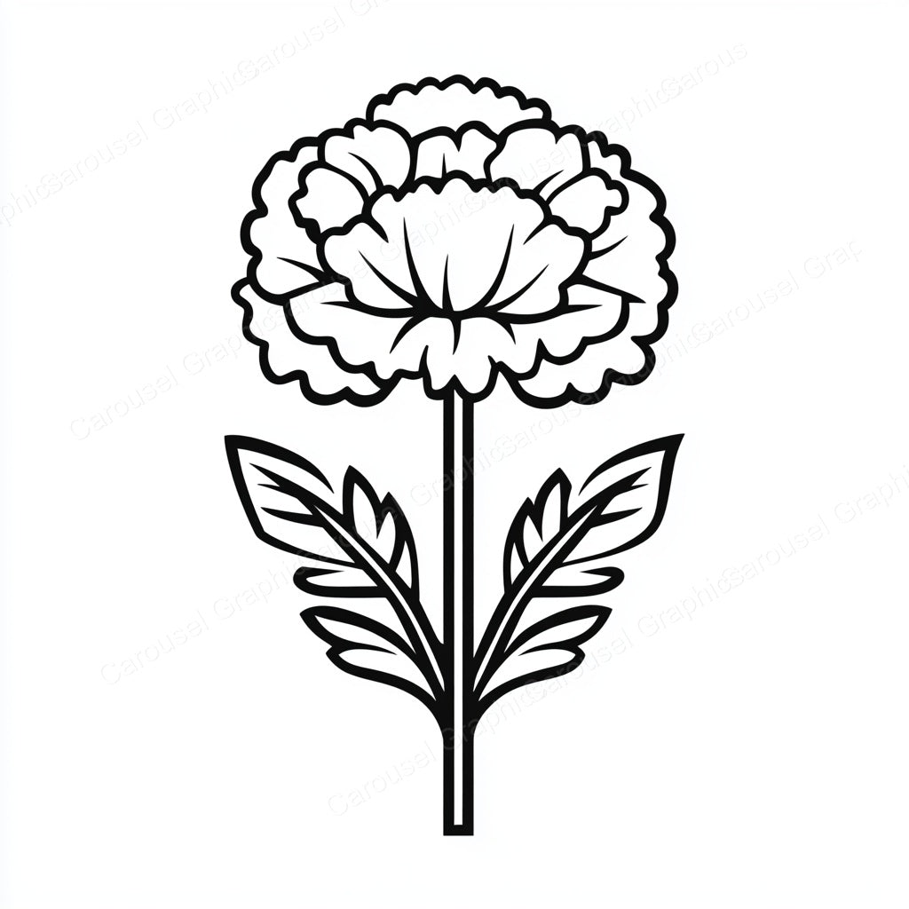 Carnation Vector Graphic preview
