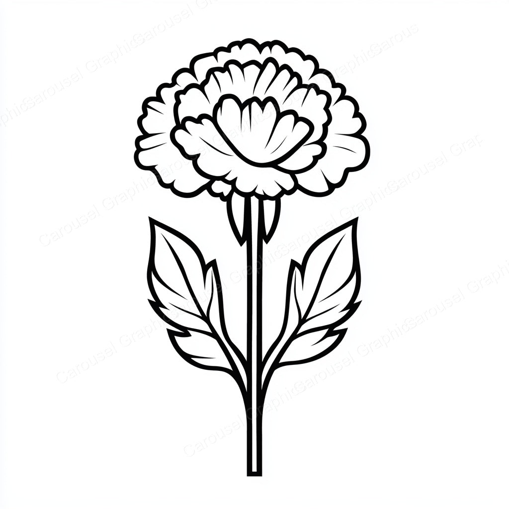 Carnation Vector Graphic preview