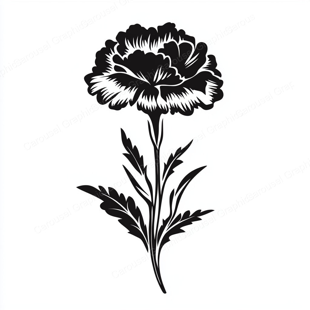 Carnation Vector Graphic preview