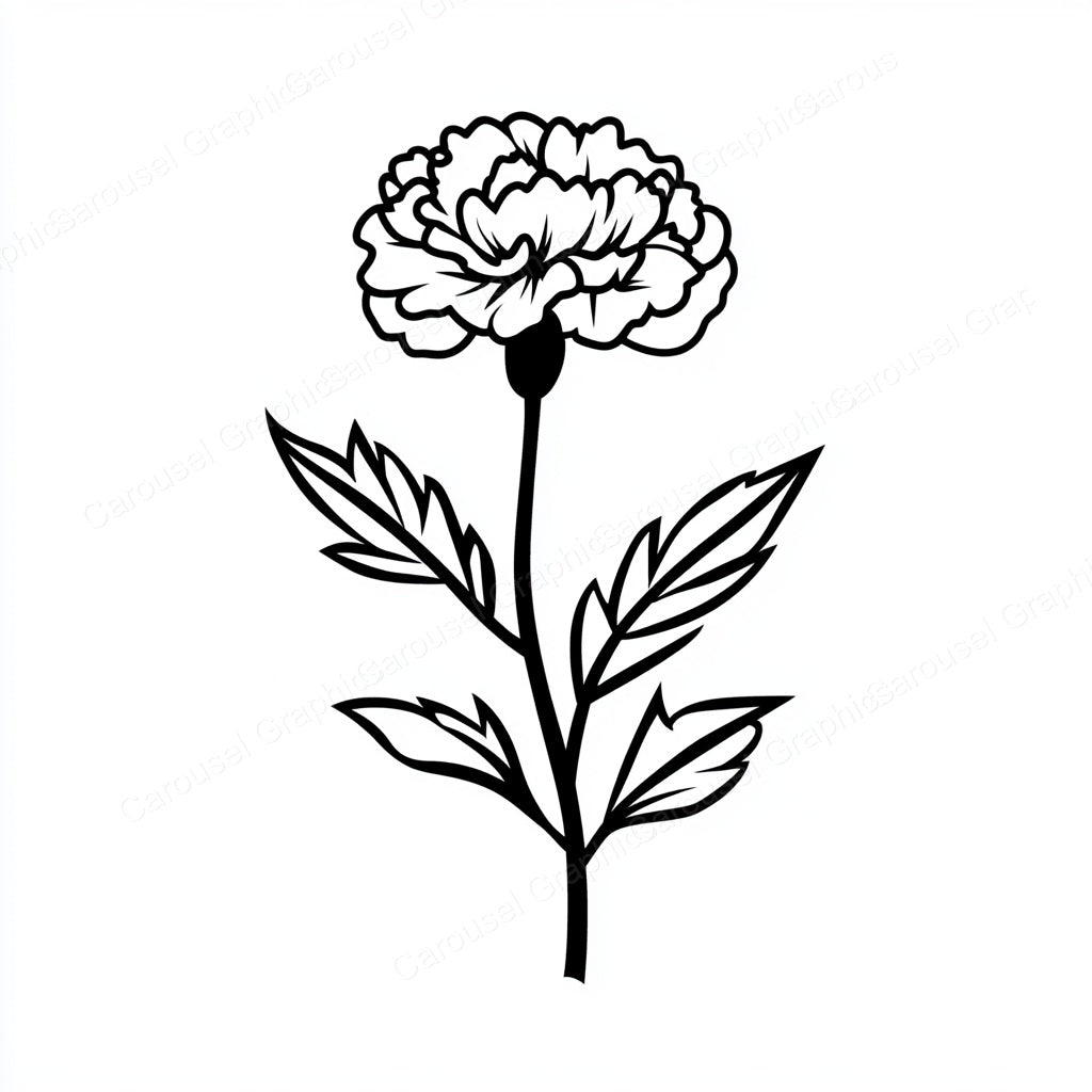Carnation Vector Graphic preview