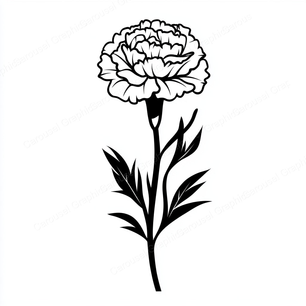 Carnation Vector Graphic preview