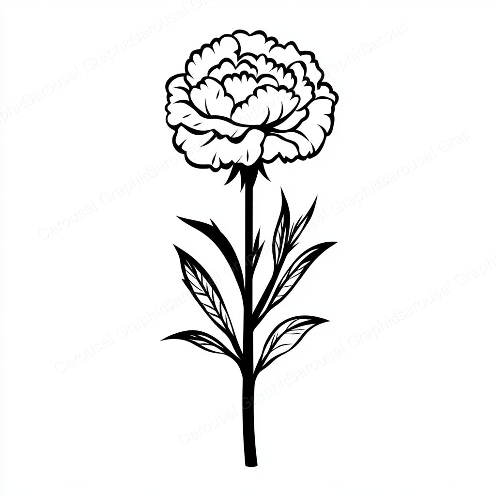 Carnation Vector Graphic preview