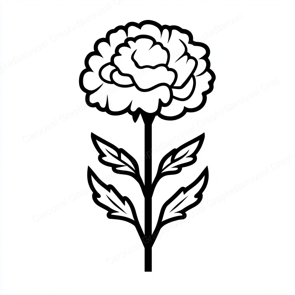 Carnation Vector Graphic preview