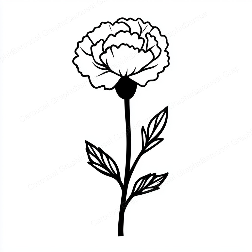 Carnation Vector Graphic preview