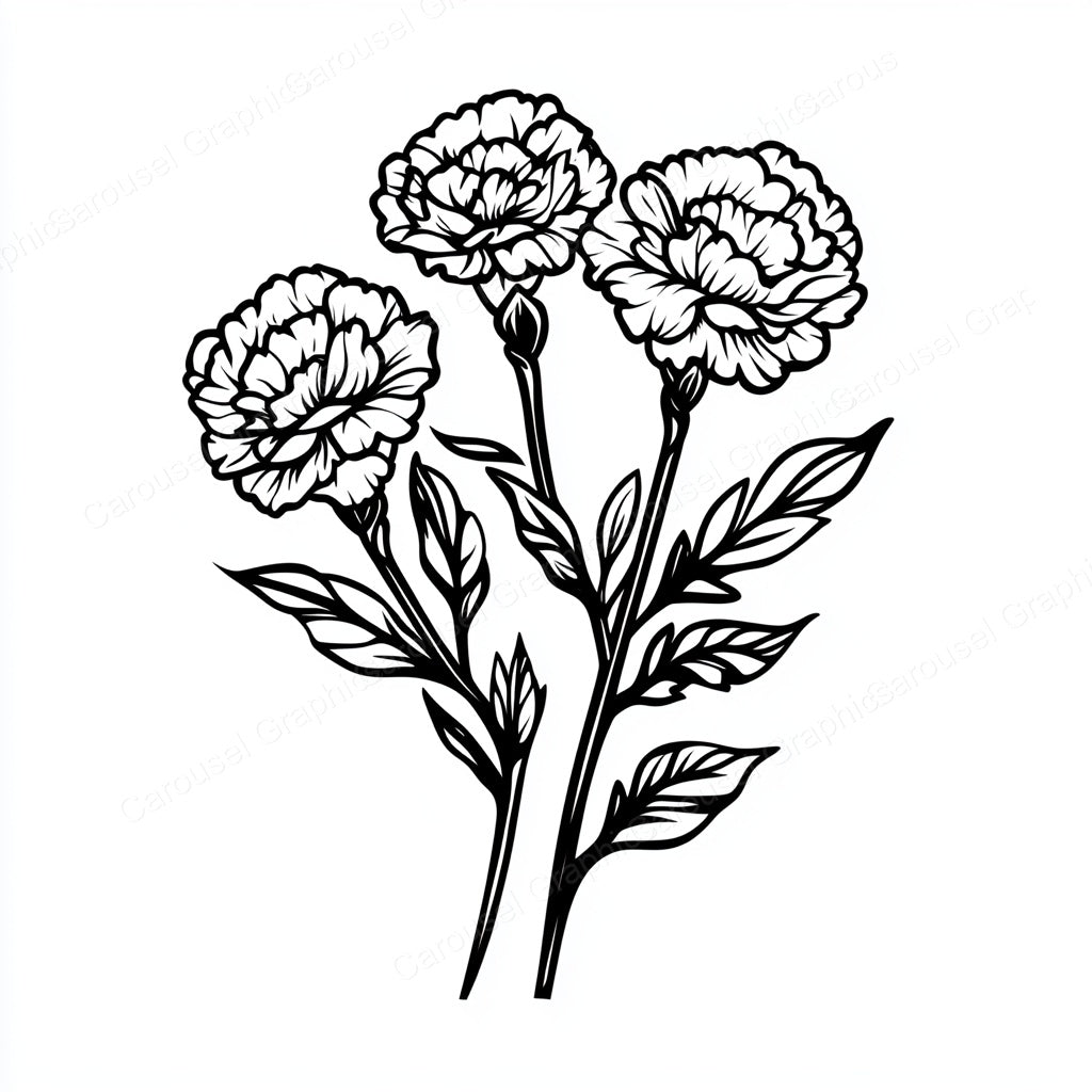 Carnation Vector Graphic preview