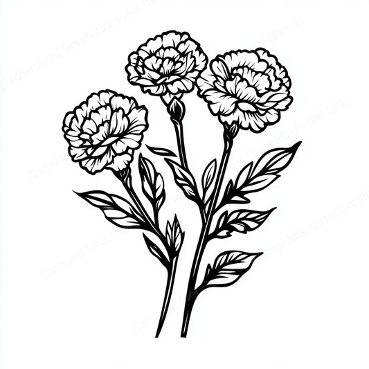 Carnation Vector Graphic preview