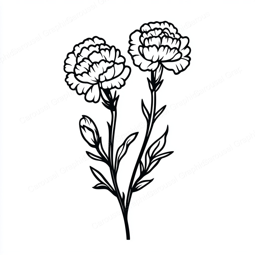 Carnation Vector Graphic preview