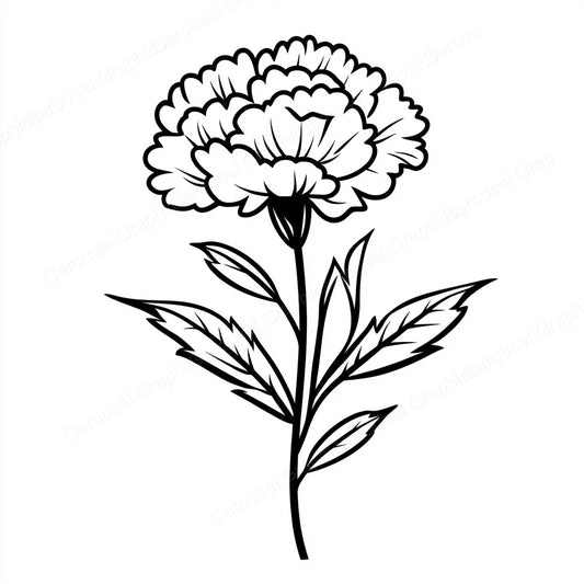 Carnation Vector Graphic preview