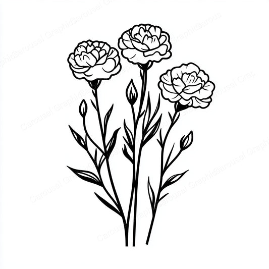 Carnation Vector Graphic preview