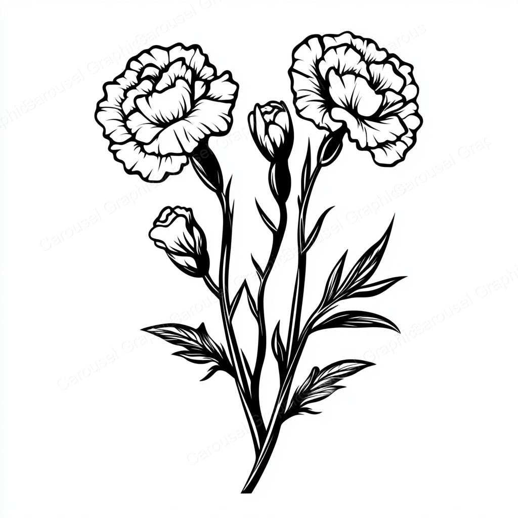 Carnation Vector Graphic preview