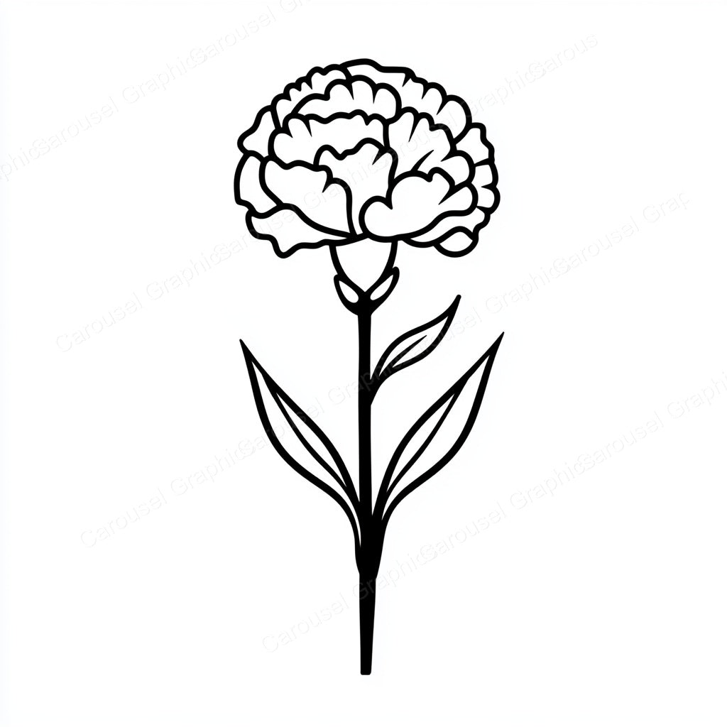 Carnation Vector Graphic preview