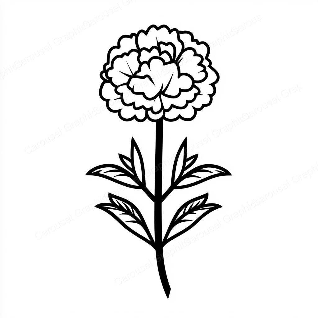 Carnation Vector Graphic preview