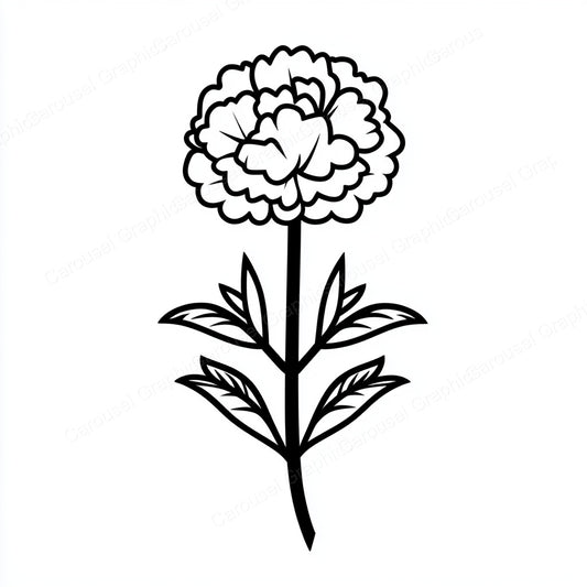 Carnation Vector Graphic preview