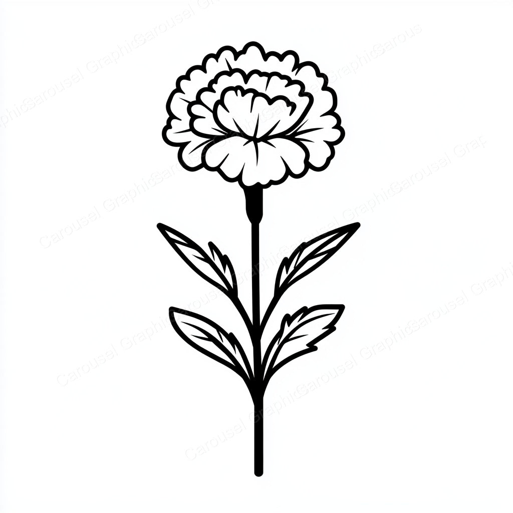 Carnation Vector Graphic preview