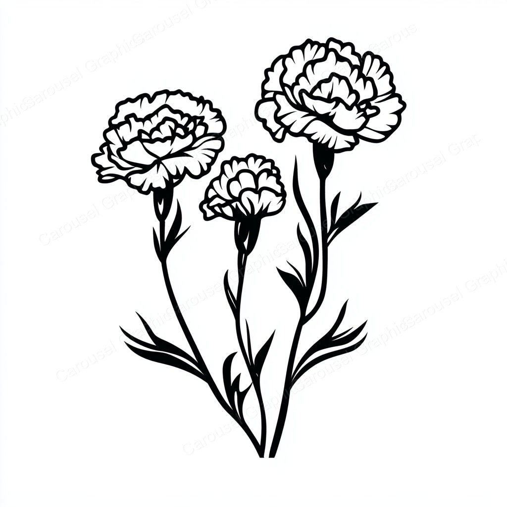 Carnation Vector Graphic preview