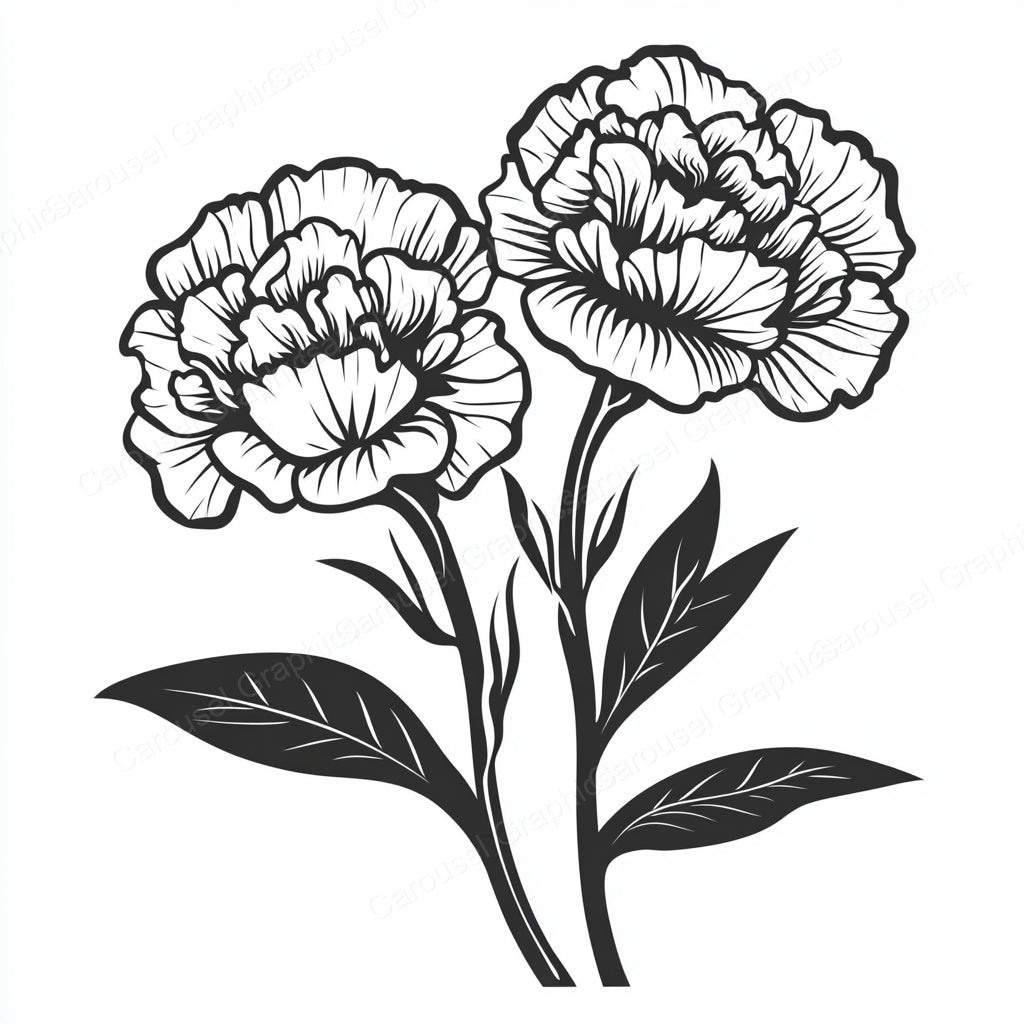 Carnation Vector Graphic preview