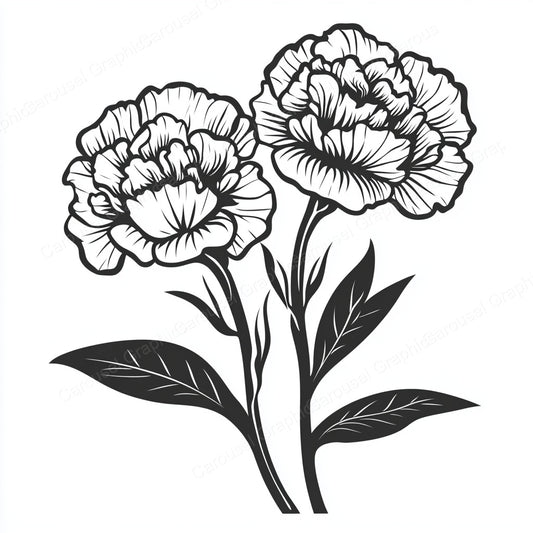 Carnation Vector Graphic preview