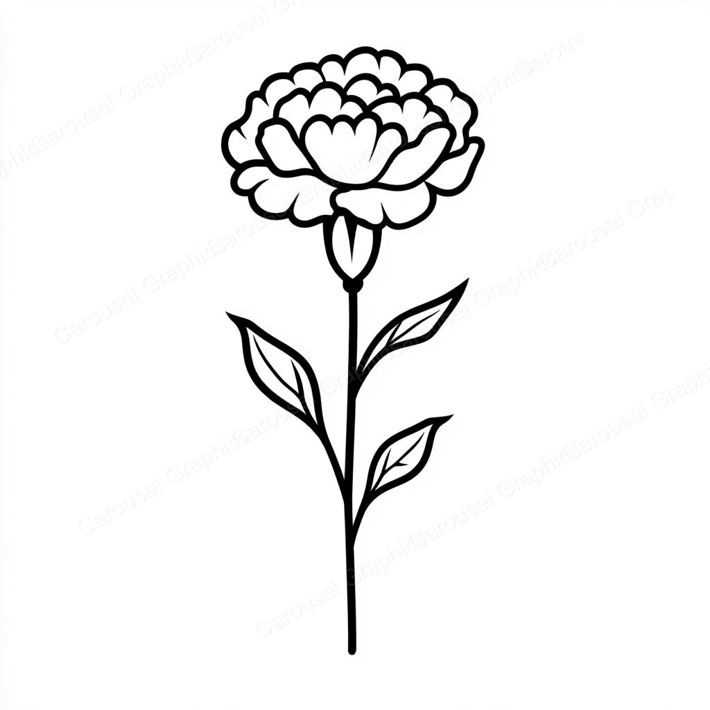 Carnation Vector Graphic preview