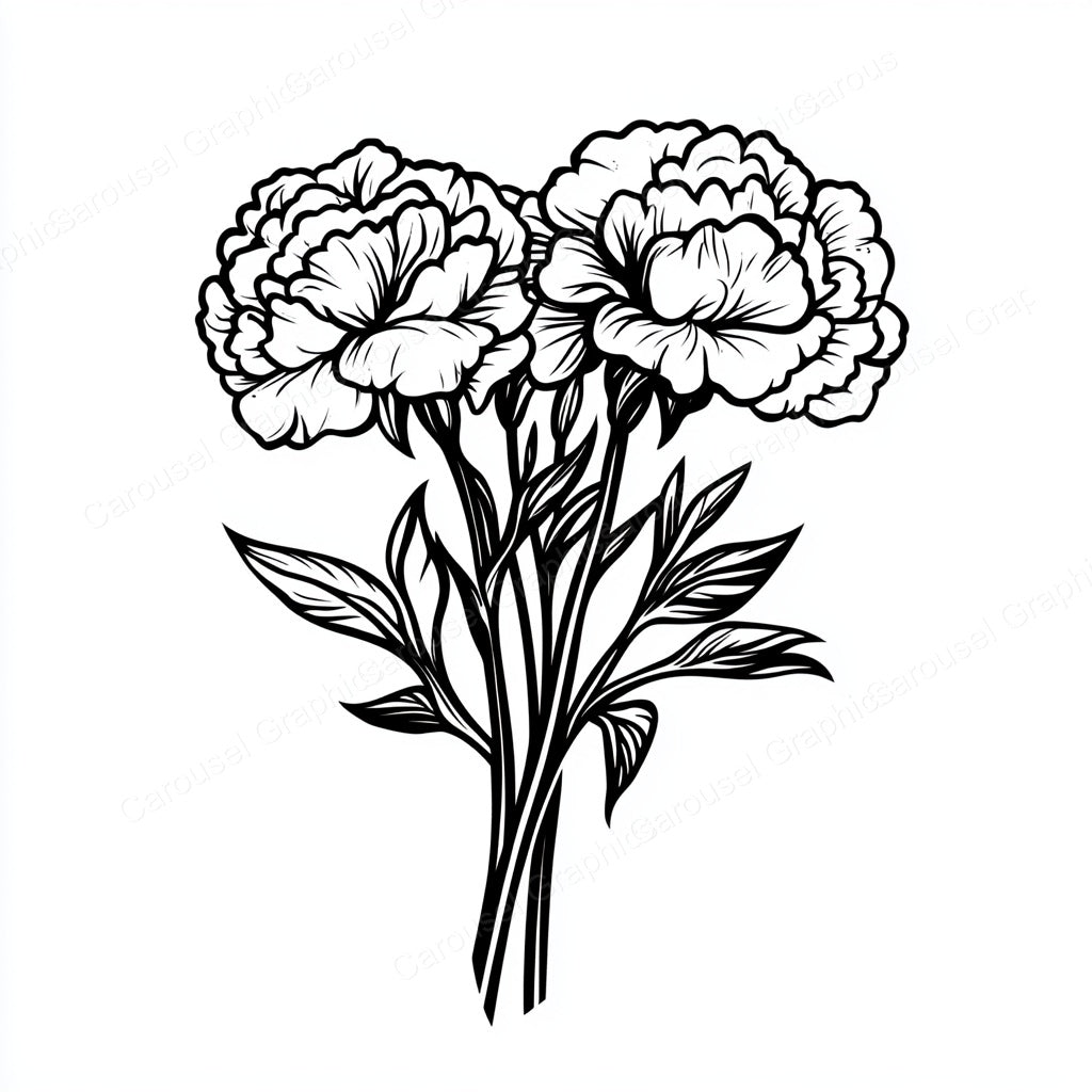 Carnation Vector Graphic preview