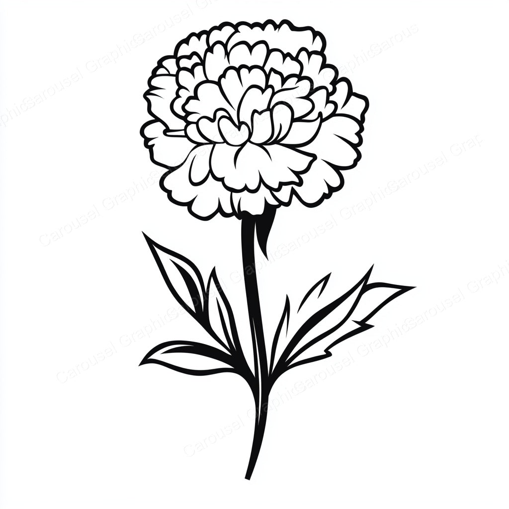 Carnation Vector Graphic preview