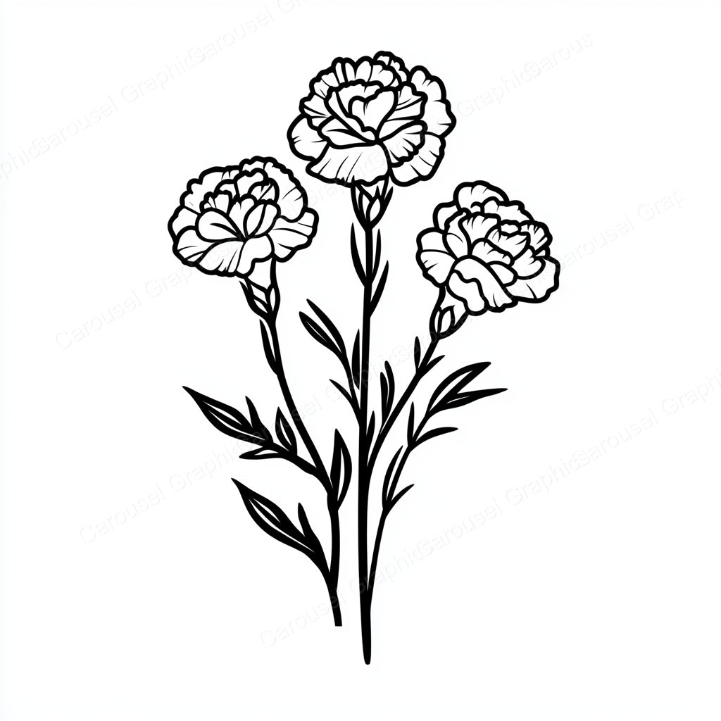 Carnation Vector Graphic preview