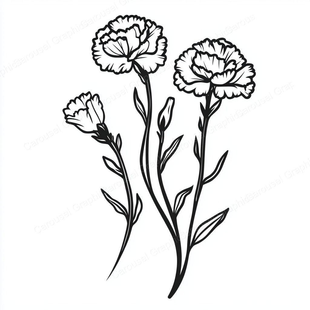 Carnation Vector Graphic preview