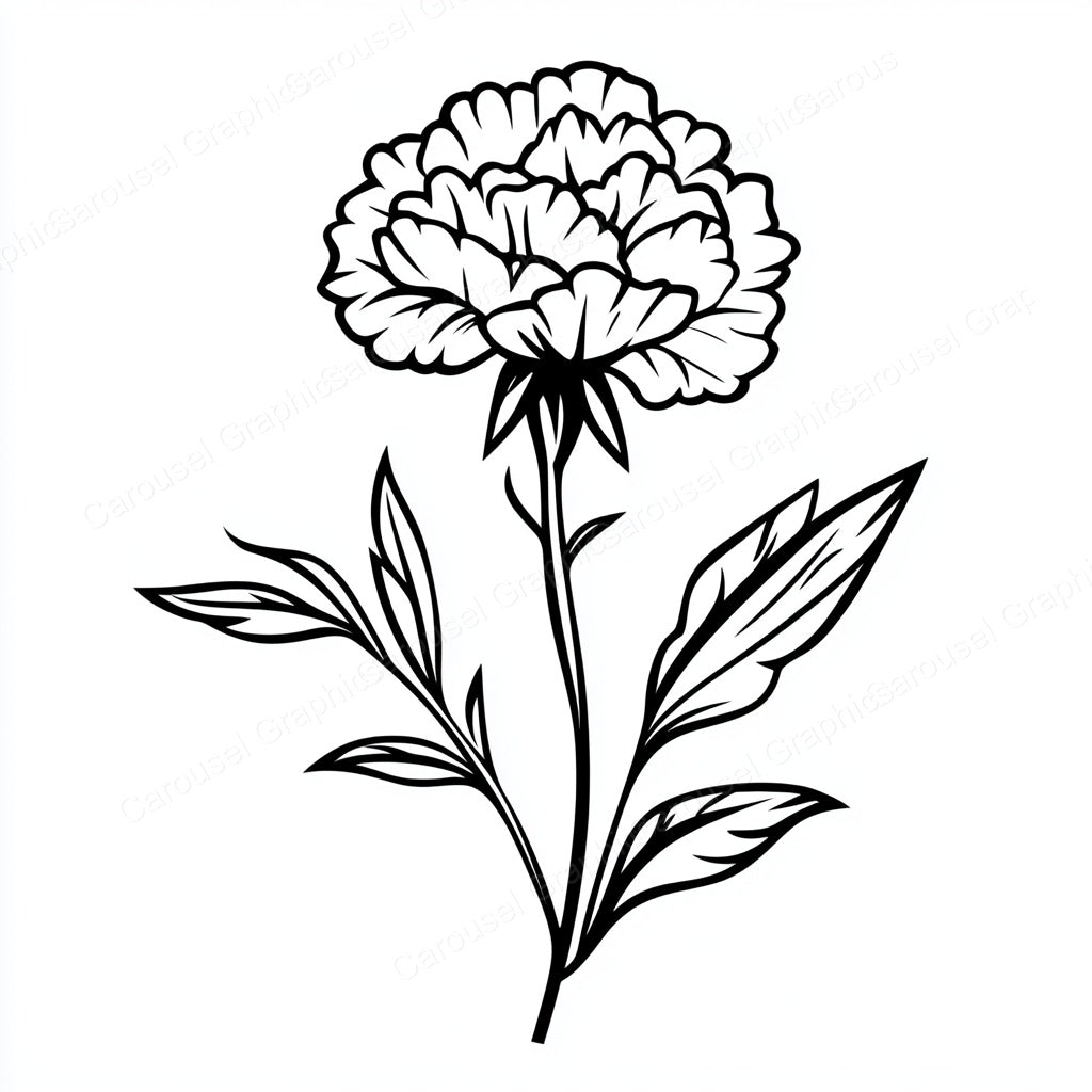 Carnation Vector Graphic preview