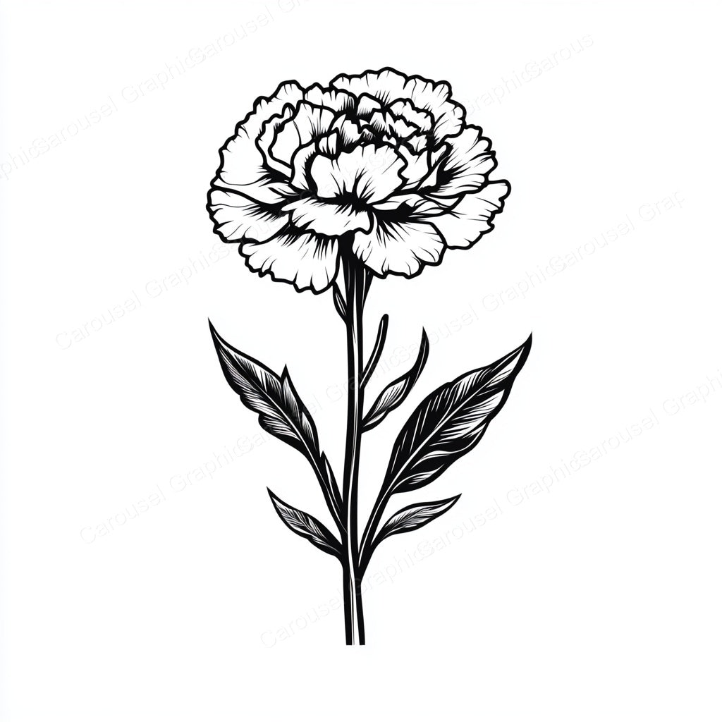 Carnation Vector Graphic preview