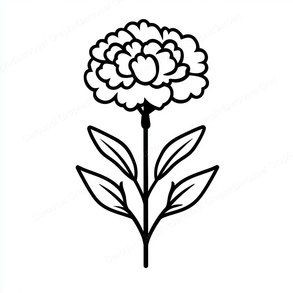 Carnation Vector Graphic preview