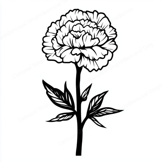 Carnation Vector Graphic preview