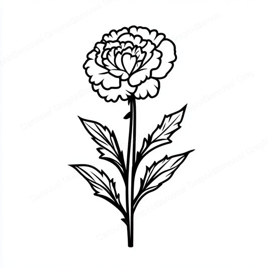 Carnation Vector Graphic preview