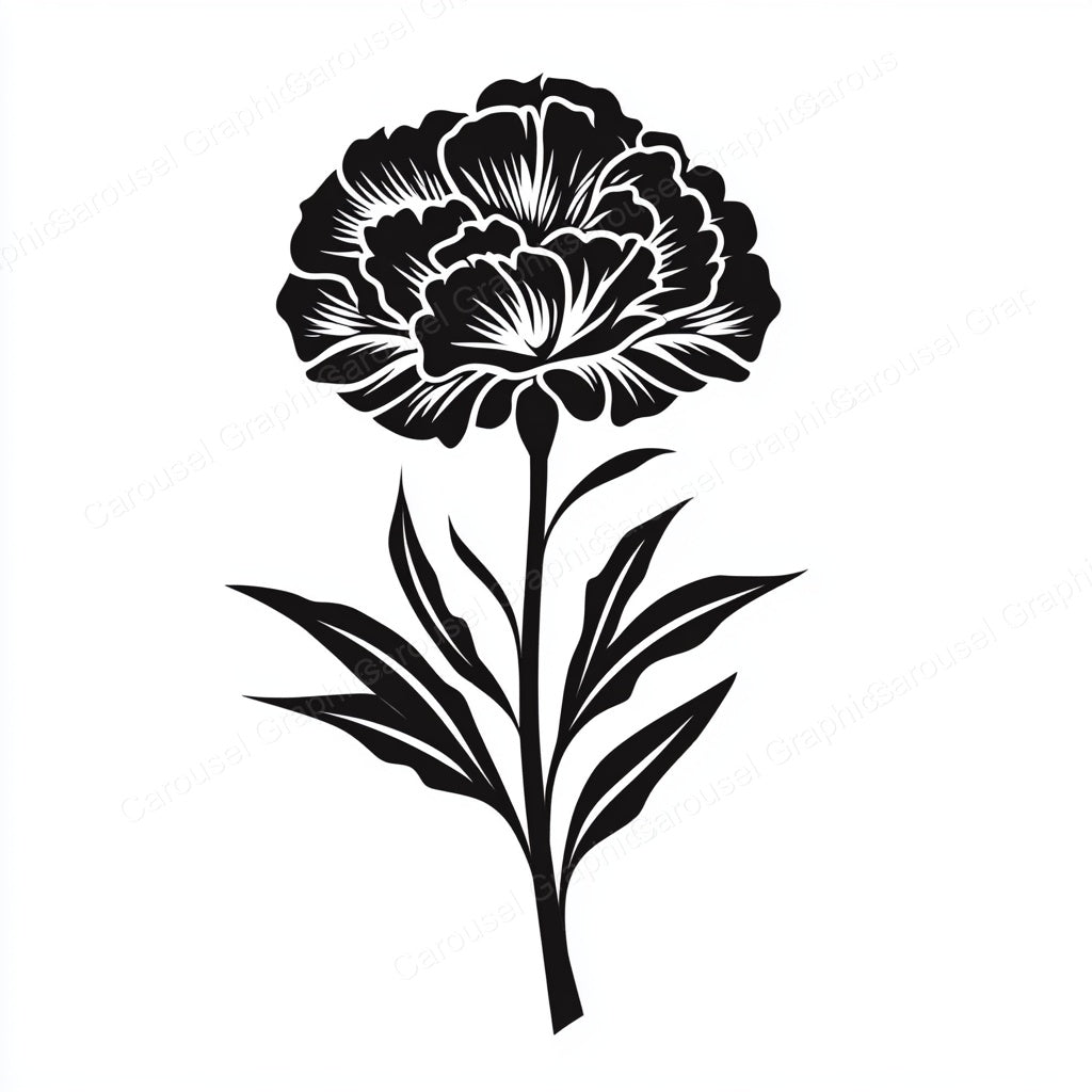 Carnation Vector Graphic preview