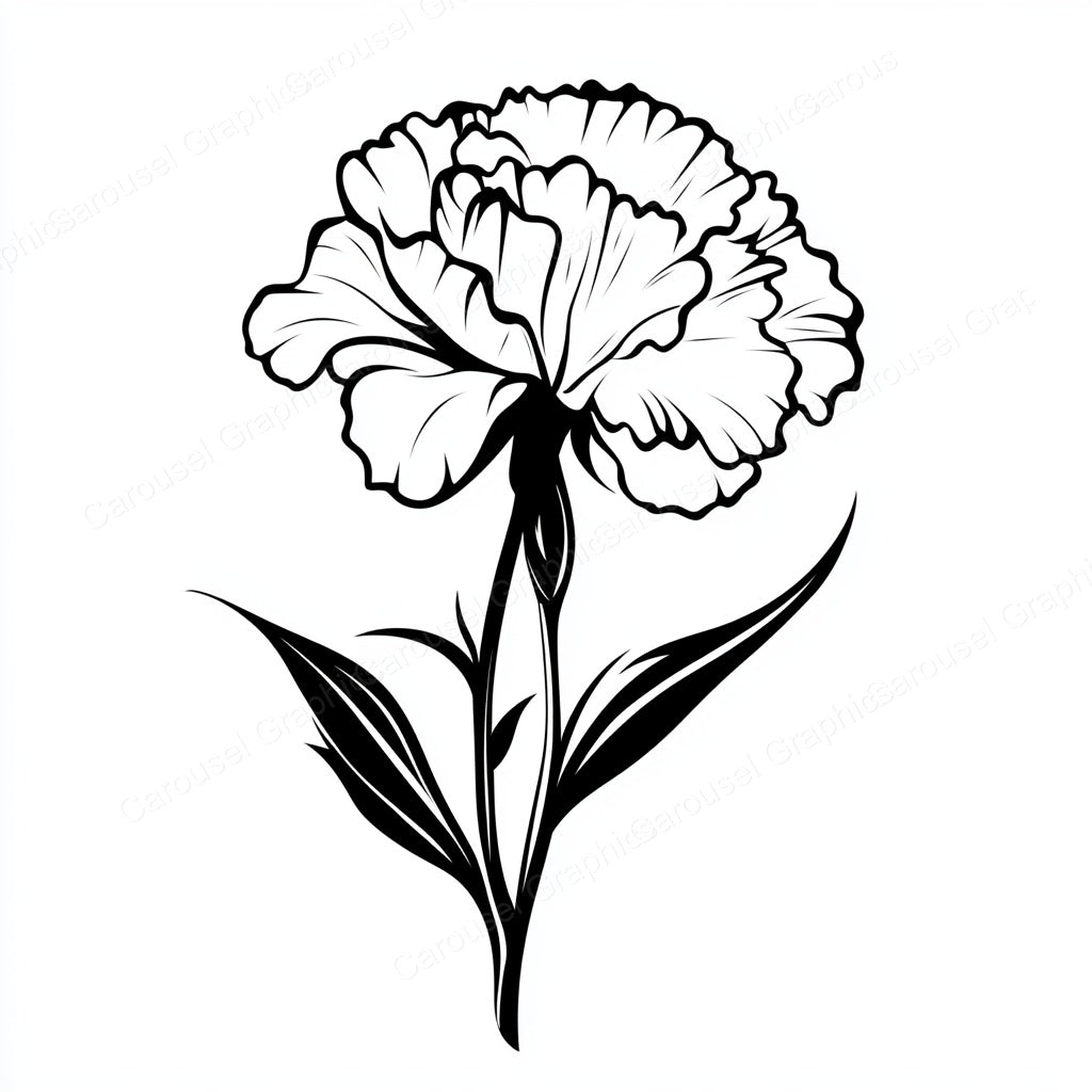 Carnation Vector Graphic preview
