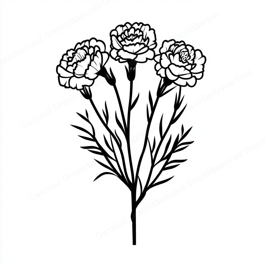 Carnation Vector Graphic preview