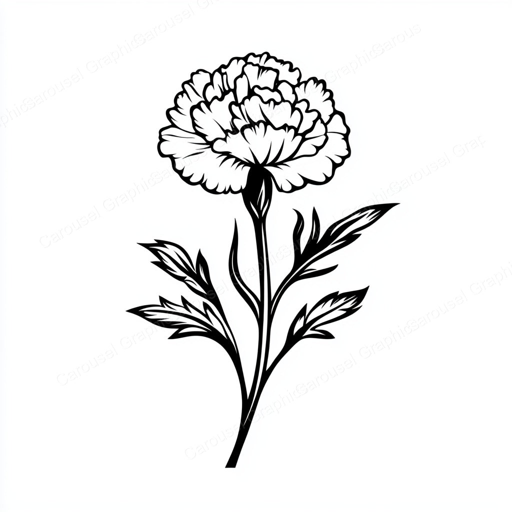 Carnation Vector Graphic preview