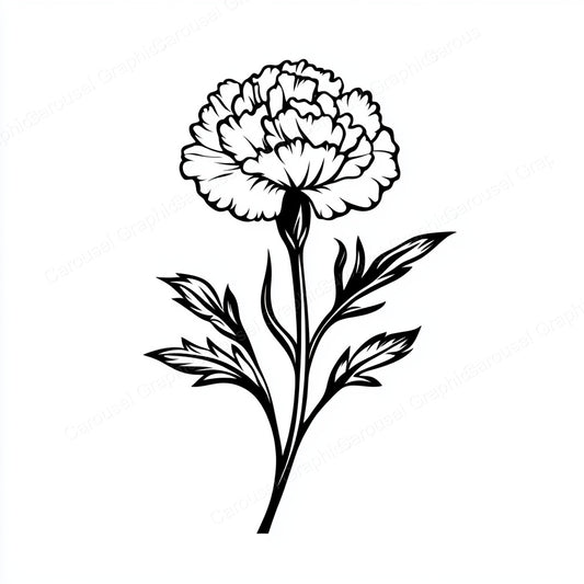 Carnation Vector Graphic preview