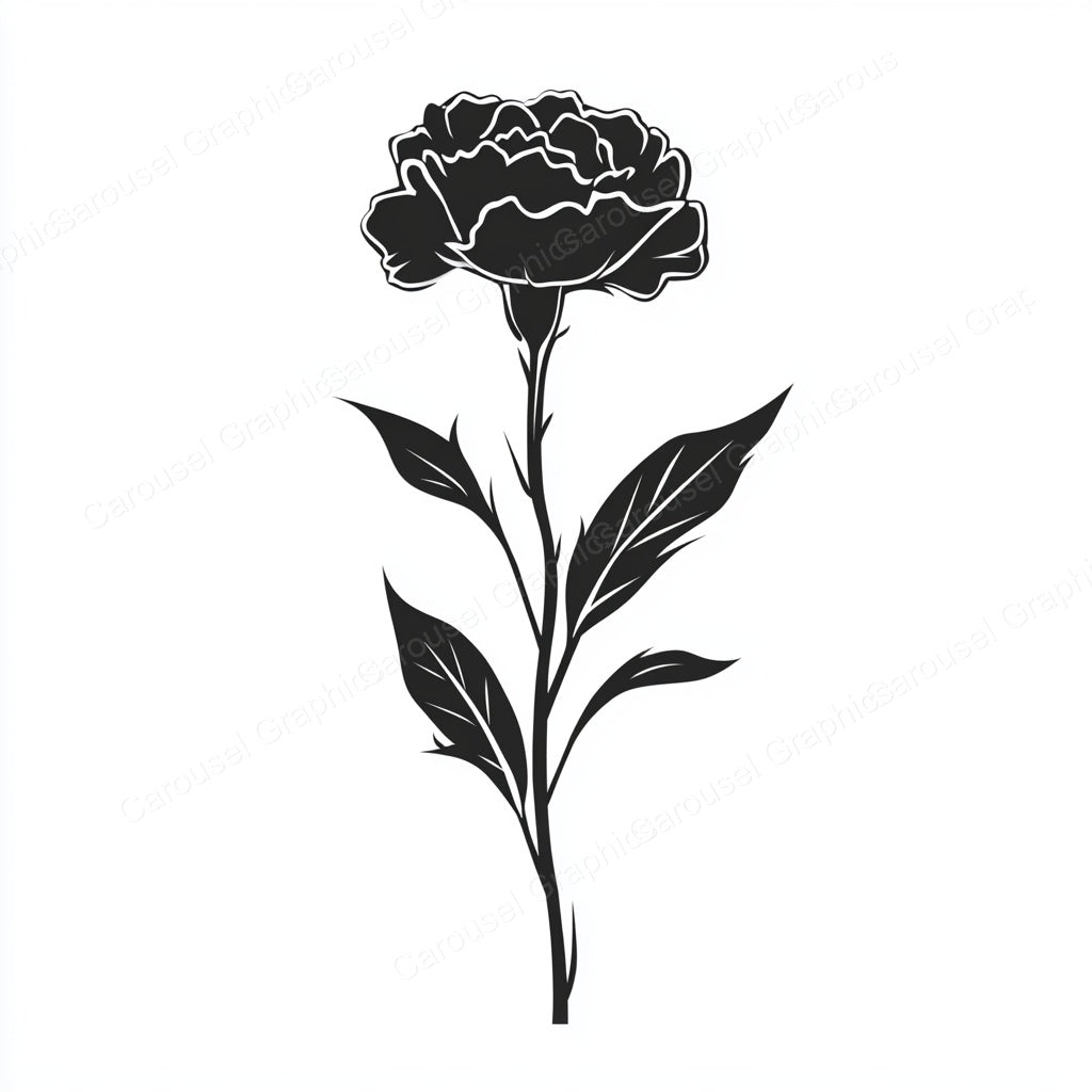 Carnation Vector Graphic preview