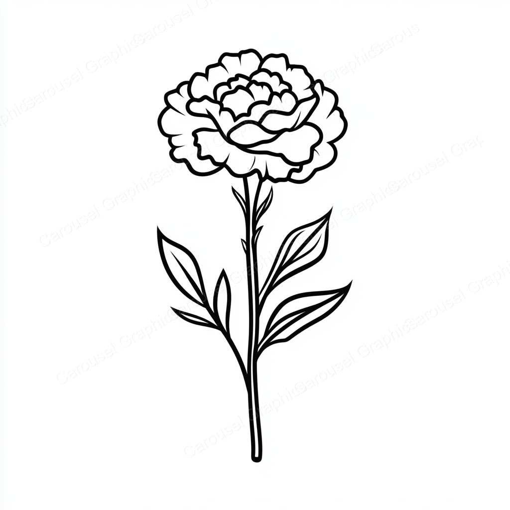 Carnation Vector Graphic preview