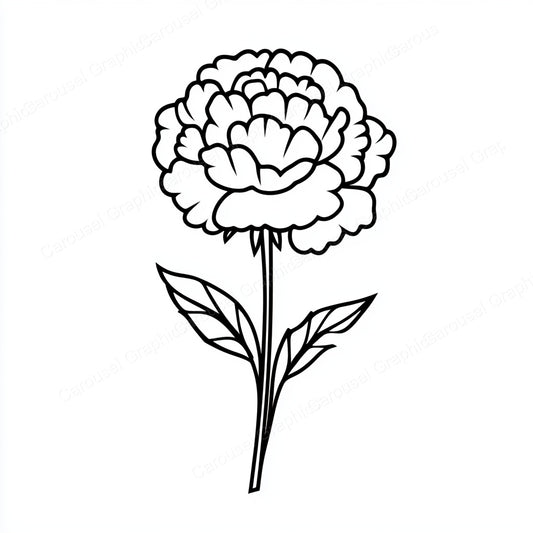 Carnation Vector Graphic preview