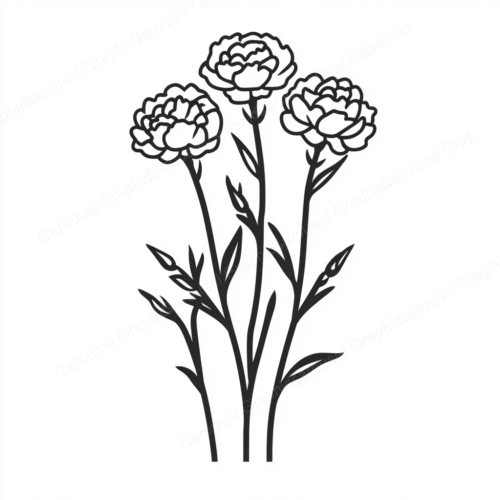 Carnation Vector Graphic preview