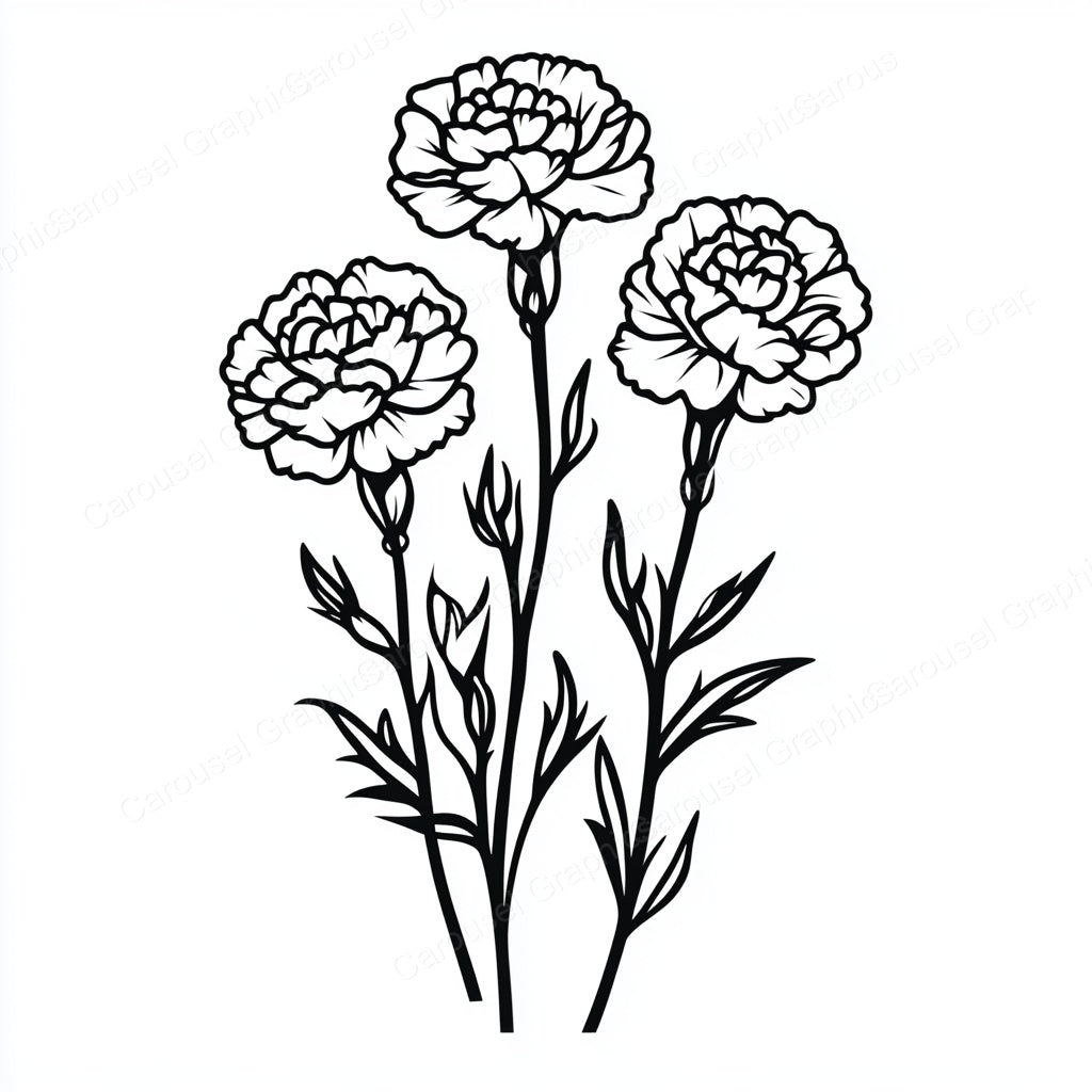 Carnation Vector Graphic preview