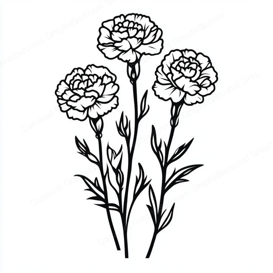 Carnation Vector Graphic preview