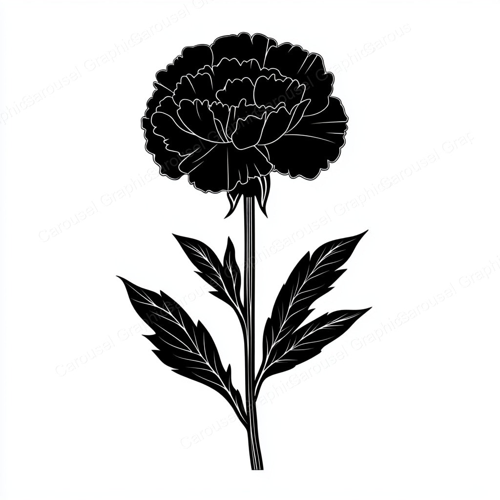 Carnation Vector Graphic preview
