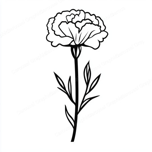 Carnation Vector Graphic preview