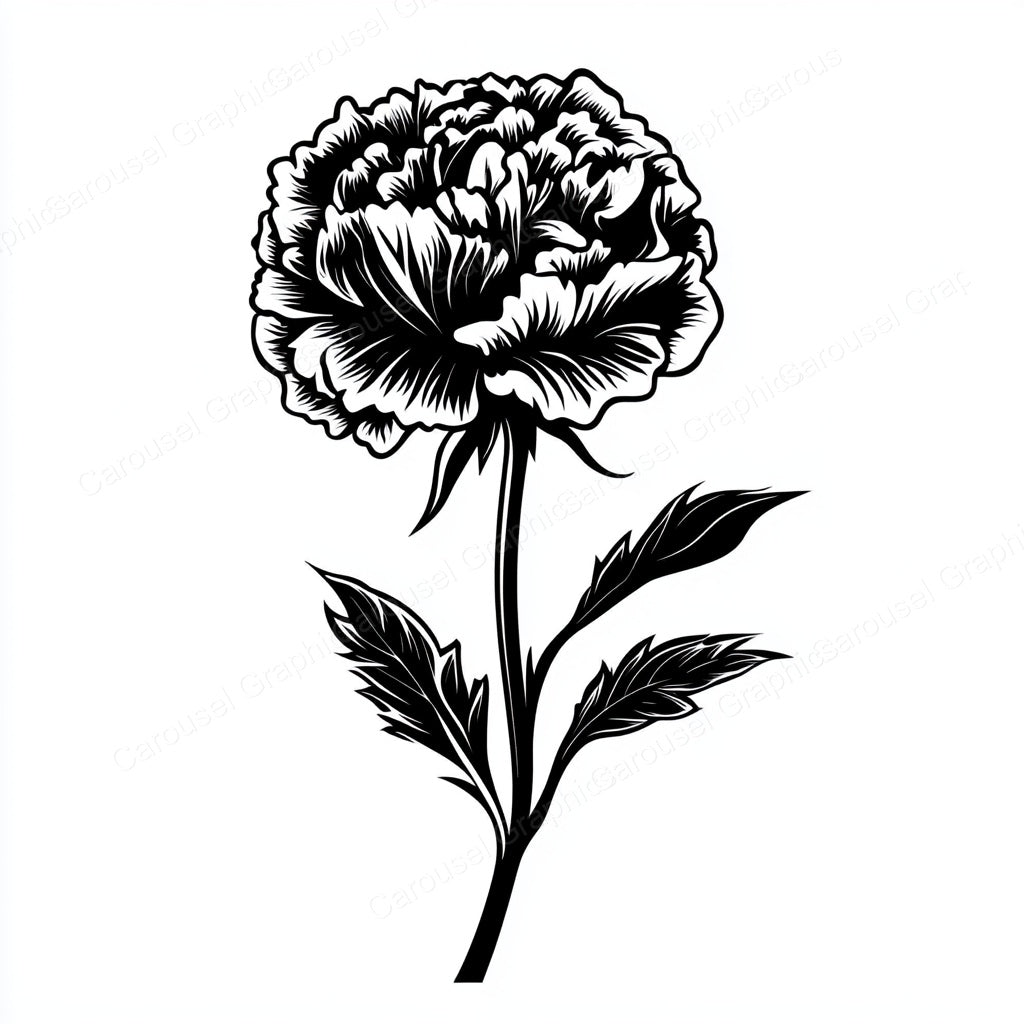 Carnation Vector Graphic preview