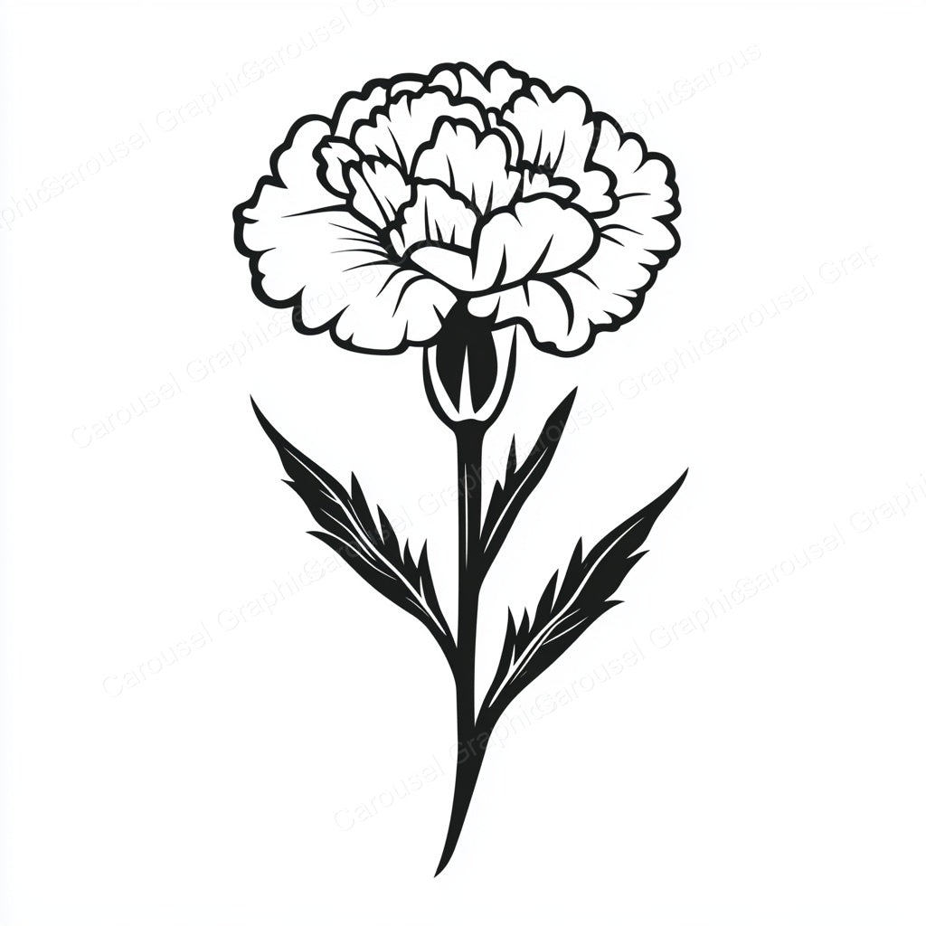 Carnation Vector Graphic preview