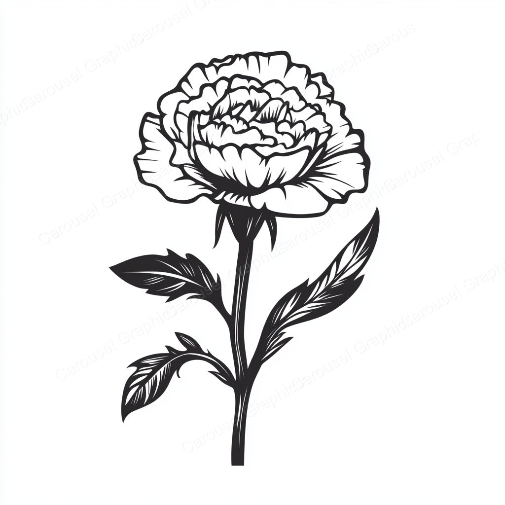 Carnation Vector Graphic preview