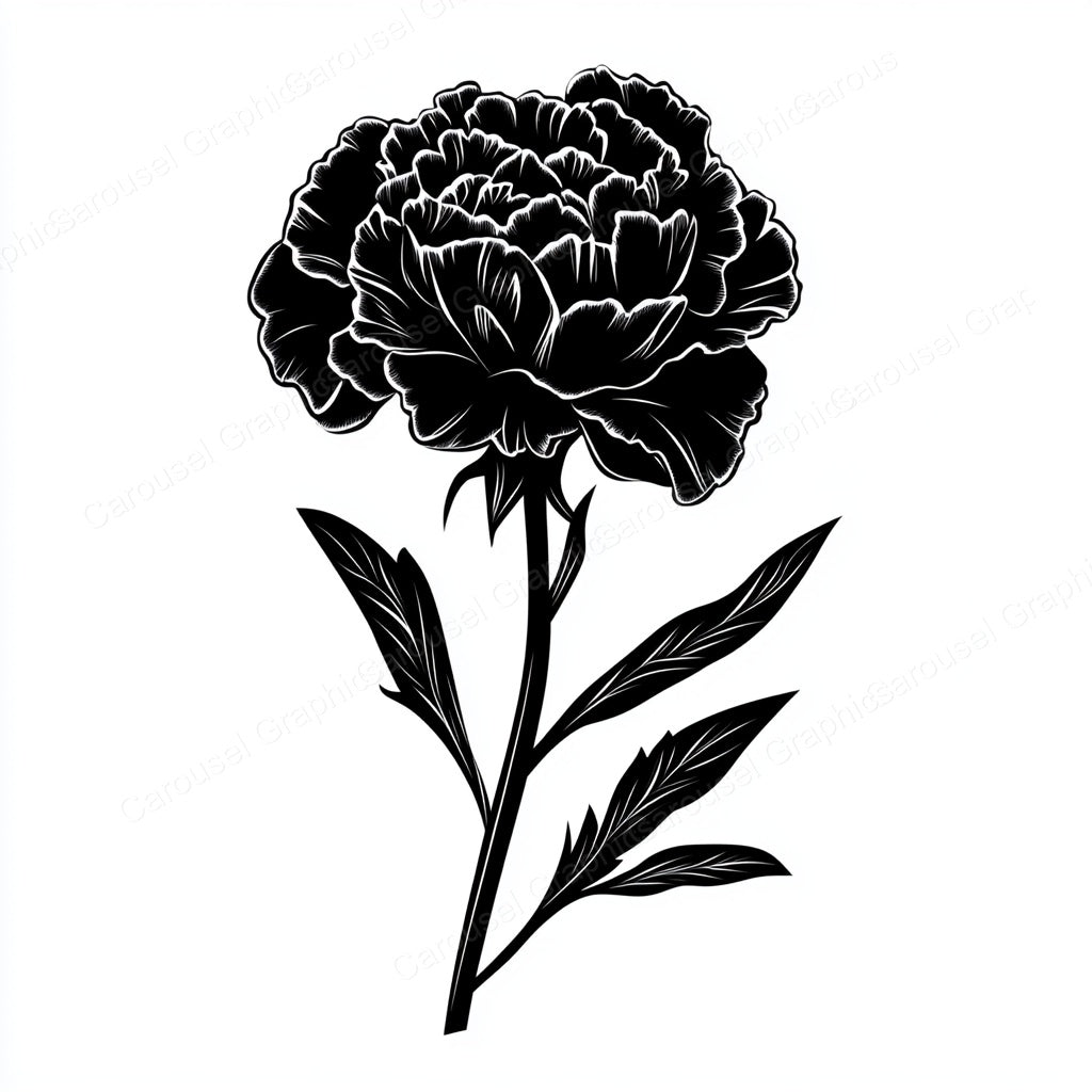 Carnation Vector Graphic preview