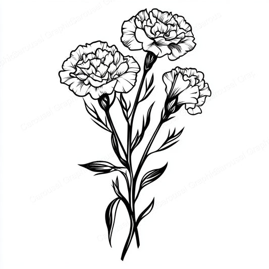 Carnation Vector Graphic preview