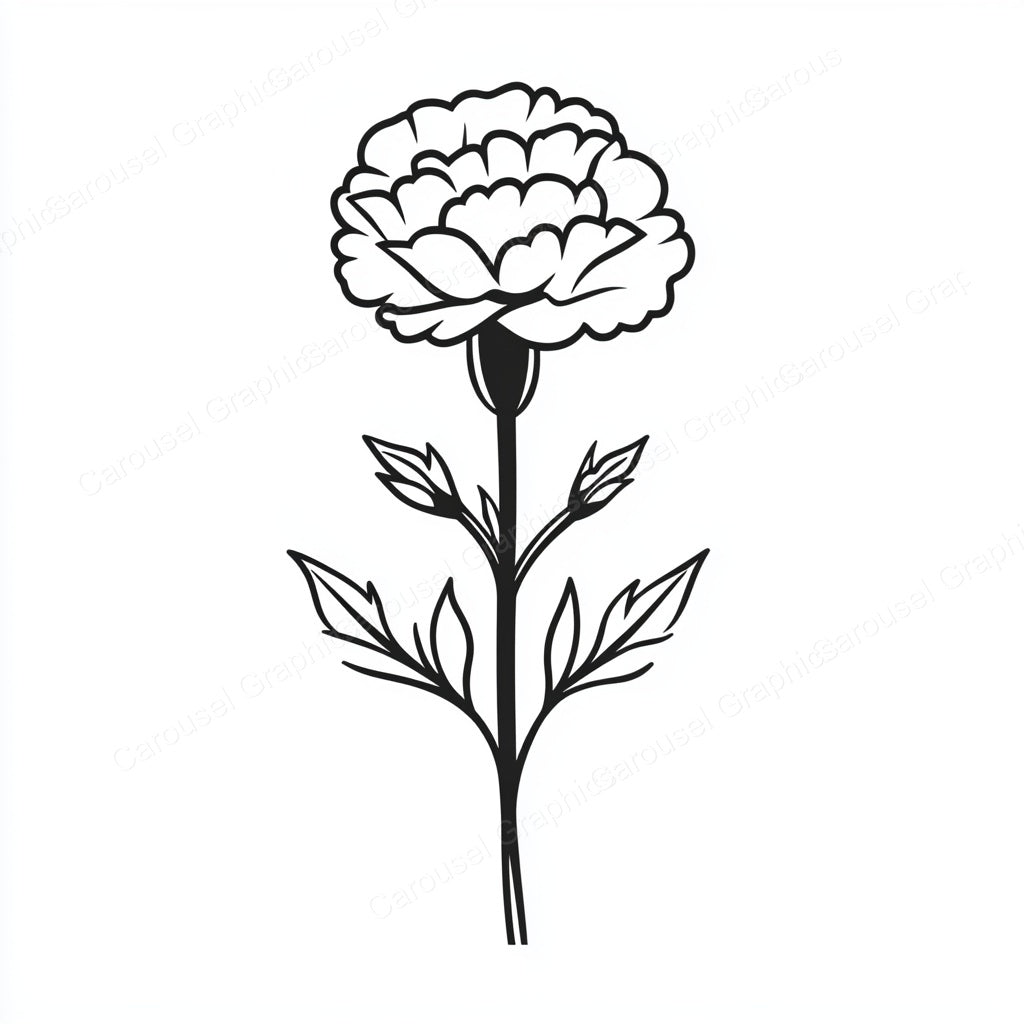 Carnation Vector Graphic preview